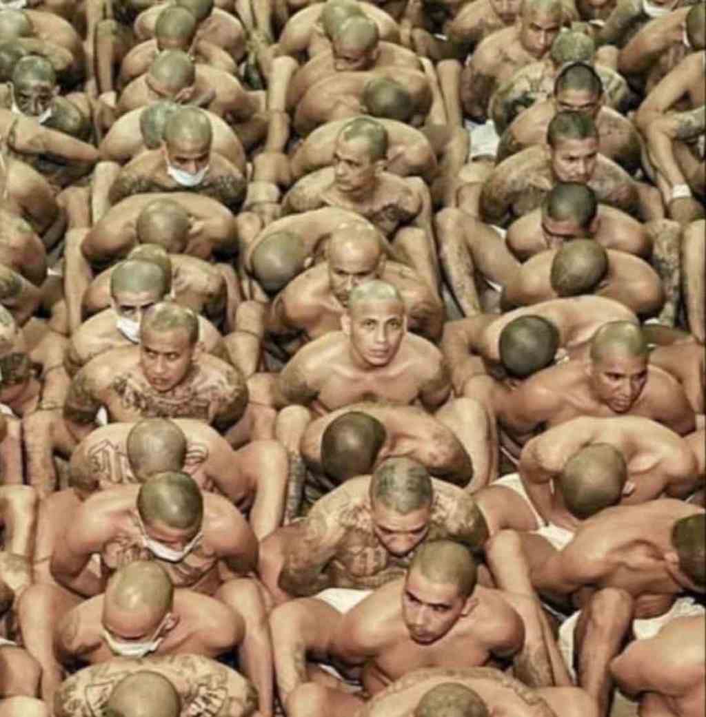 LOS BIOCUERPOS DEL CONFINAMIENTO (segunda&nbsp;parte)