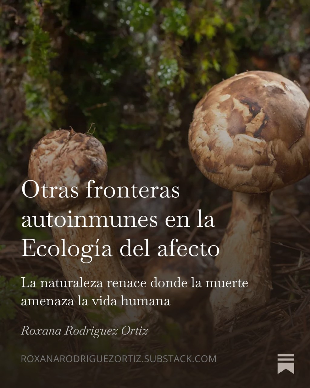 Otras fronteras autoinmunes en la Ecología del&nbsp;afecto